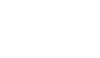 Lion Precision footer logo